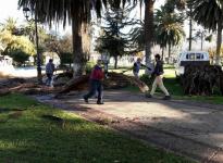 Comité de Emergencia comunal realiza destacada labor en sistema frontal del pasado fin de semana Comité de Emergencia comunal realiza destacada labor en sistema frontal del pasado fin de semana